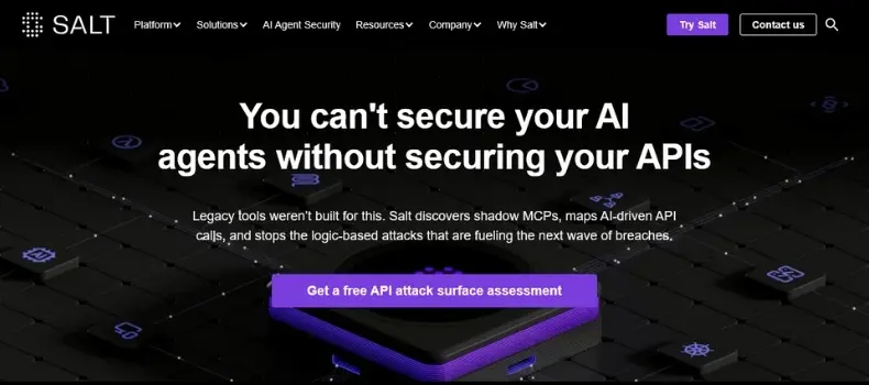 salt security review